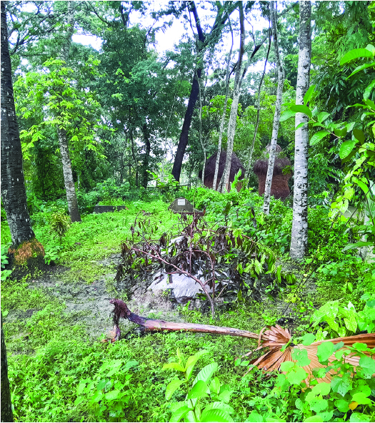 Image of মো: বাচ্চু